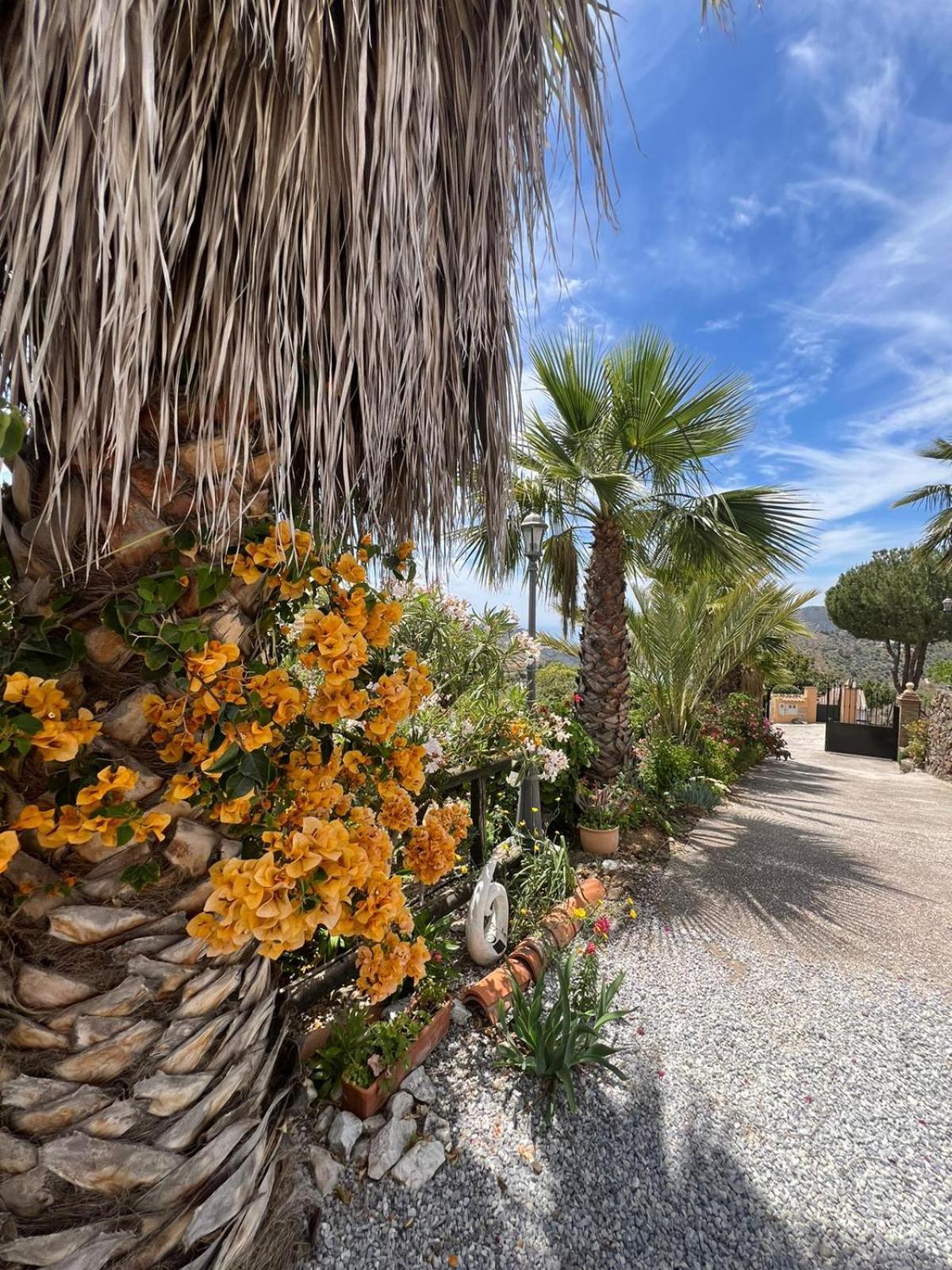 Los Olivos Málaga Esterno foto